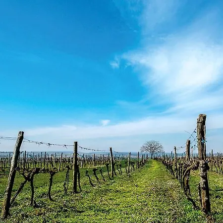 Дом отдыха Troadkostn Drasenhofen