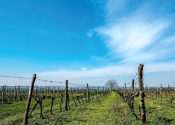 Vakantiehuis Troadkostn Drasenhofen